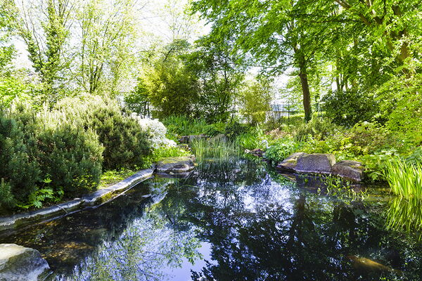 Grüne Oase in der Innenstadt, Altenheim Windberg. Zu sehen ein Teich mit viel Grün