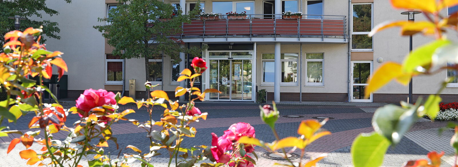 Haupteingang vom städtischen Altenheim Am Pixbusch 1 mit Rosen im Vordergrund